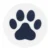 Black Paw