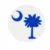 Coconut Tree