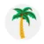 Palm Tree